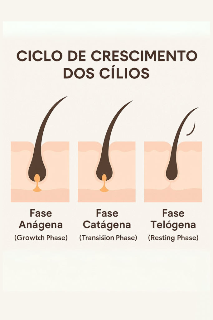 Cílios: Qual Sua Função e Como É o Processo de Crescimento Natural ...